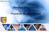 5203044 medios-de-cultivo-y-pruebas-bioquimicas