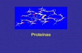 Tema 04-proteinas-willian