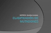 Clasificación+de+mutaciones+5 cm4