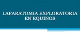 Expo Cirugia Laparatomia
