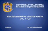 Metabolismo De LíPidos Hasta Co2  Y H2 O