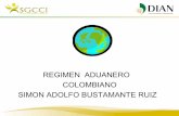 Regimen aduanero colombiano 2011