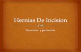 Hernias de incision