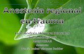 Anestesia regional en trauma charla
