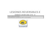 Lesiones reversibles e_irreversibles_ii_clase