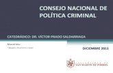 Consejo Nacional de Política Criminal - Perú (Beyker Chamorro)