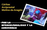 Cáritas Arciprestal Molina de Aragón. Por la Interculturalidad y Convivencia