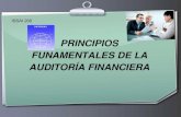 Principios fundamentales de la auditoría financiera, issai 200