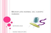 Microflora normal del cuerpo humano