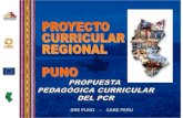 Proyecto Curricular Regional Puno Peru