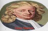 Newton flay