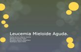 Leucemia Mieloide Aguda