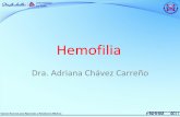 2.  Hemofilia- Pediatría
