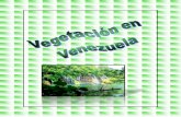 La vegetacion en venezuela