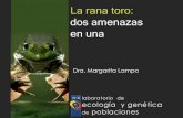 Especies Invasoras y Biodiversidad: Rana Toro