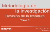 Metodologia de la Investigación. Revisión de la Literatura.