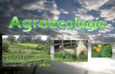Agroecologia 1