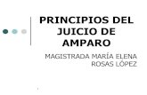 Principios del juicio_amparo