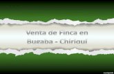 Venta Finca 55 hectareas Bugaba Chiriqui