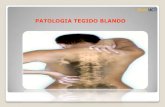 Patologias tejido blando