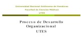 C:\Fakepath\Desarrollo Organizacional De La   Utes ComisióN Chiquita Ii