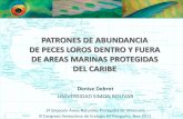 Patrones de abundancia de peces loros dentro y fuera de áreas marinas protegidas del Caribe (2011)