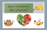 Que comemos das plantas?