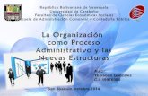 la organización como proceso administrativo de las nuevas estructuras