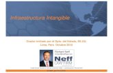 Infraestructura Intangible Peru - Richard Neff