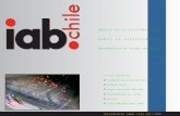 Informativo IAB Chile Abril 2009