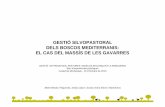 GESTIÓ SILVOPASTORAL DELS BOSCOS MEDITERRANIS: EL CAS DEL MASSÍS DE LES GAVARRES