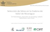 Seleccion de Sitios en la CV de Nicaragua (ESP)