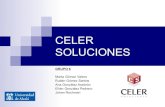 Trabajo Celer Soluciones (Marketing 08-09 UAH)