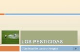 Los pesticidas