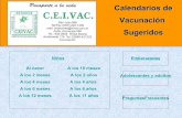 Ceivac Presentacion Calendario