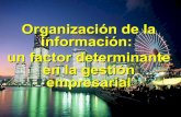 Organización de la información:  un factor determinante en la gestión empresarial