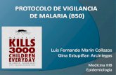 Epiedmiologia De La Malaria