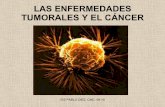 Las enfermedades tumorales_y_el_cáncer (1)