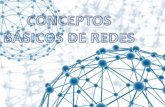 Redes expo