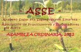 Asse (asamblea marzo 2012)
