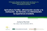 Agricultura familiar, alimentación escolar y la realización  del derecho a la alimentación: la experiencia brasileña.