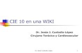 Cie 10 En Una Wiki