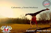 Calistenia y street workout