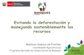Evitando la Deforestación - Gustavo Suarez de Freitas