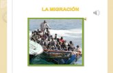 Migracion pp (1)