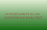 Conservacion de los_ecosistemas_en_el_peru
