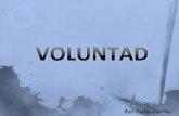 Voluntad by CR