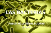 Conferencia 2º epo las bacterias