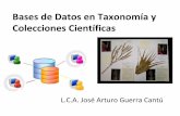 Bases de datos en taxonomía y colecciones científicas