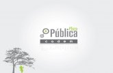 Encuesta Plaza Pública n25